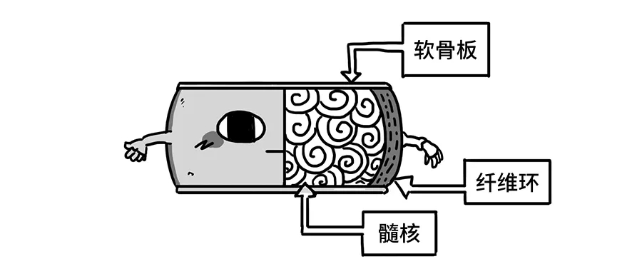 640.webp (78).jpg