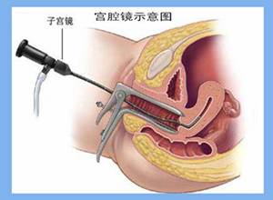1600042506916501.jpg 图片4.jpg